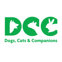 Find Professional Cat Grooming Near You at DCC Animal Hospital