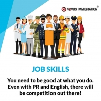 Best Immigration Consultants in Bangalore â€“ novusimmigration.com