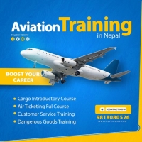 Aviation Consulting and Training Company