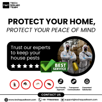 Pest Control Services in New Delhi Call 07795001555