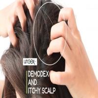 Demodex and Itchy Scalp