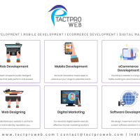 Web development