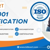 ISO 14001 Consultants in Delhi