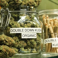 Buy Marijuana Online With PayPal Safe And Secured Online Shopping