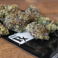 Buy Marijuana Online With PayPal Safe And Secured Online Shopping Doorstep Delivery