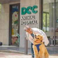 DCC Animal Hospital - Best Pet Clinic in Delhi, Gurgaon & Noida