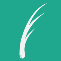 Want a Natural Hairline? Follicle India’s FUE Hair Transplant Services Are Here for You!