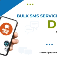 Features of Bulk SMS Service Provider in Delhi by Shree Tripada