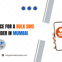 What Makes Shree Tripada an Ideal Choice for a Bulk SMS Service Provider in Mumbai?