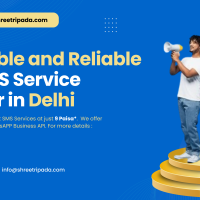 Affordable and Reliable Bulk SMS Service Provider in Delhi - Shree Tripada