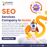 SEO Services Company in Noida