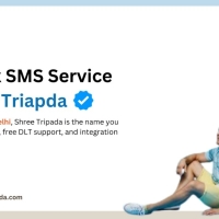 Why Shree Tripada is Delhi's Best Bulk SMS Provider?
