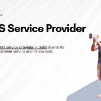 Shree Tripada: Your Trusted Bulk SMS Service Provider in Delhi