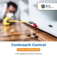 Cockroach Pest Control Hyderabad