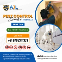 Best Pest Control Services in Hyderabad