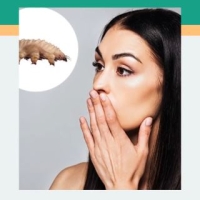 How is Demodex Spread? ðŸ¤”ðŸ”¬