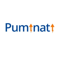 Puminati Digital Private Limited is Best Digital Marketing Company in Haldwani